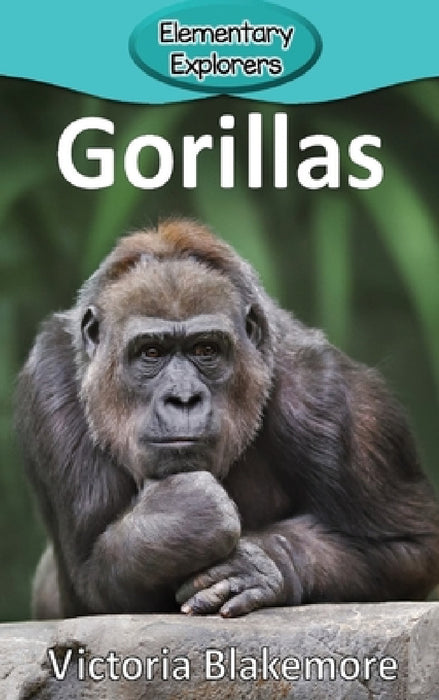 Gorillas by Victoria Blakemore