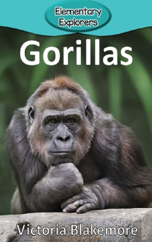 Gorillas by Victoria Blakemore