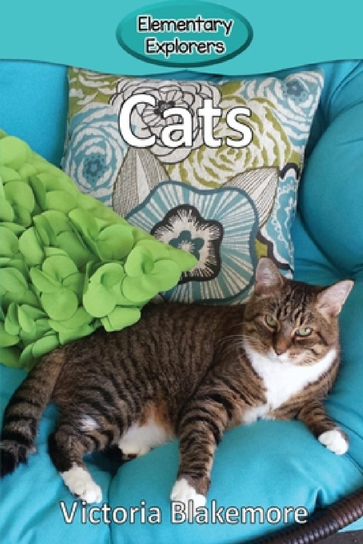 Cats by Victoria Blakemore