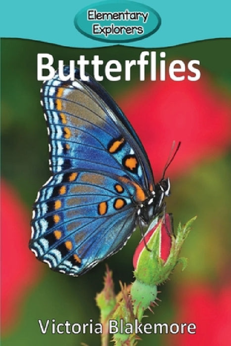 Butterflies by Victoria Blakemore