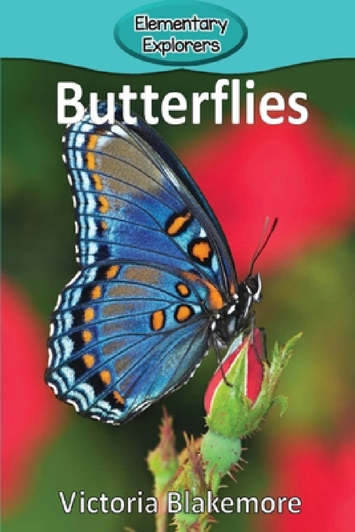 Butterflies by Victoria Blakemore