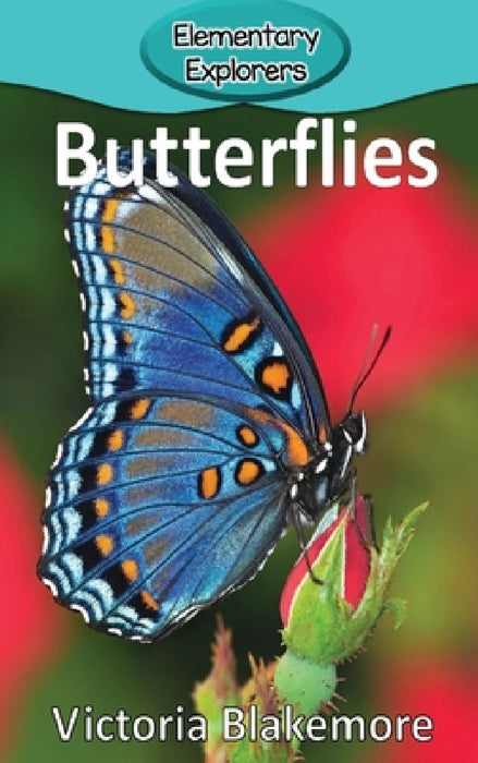 Butterflies by Victoria Blakemore