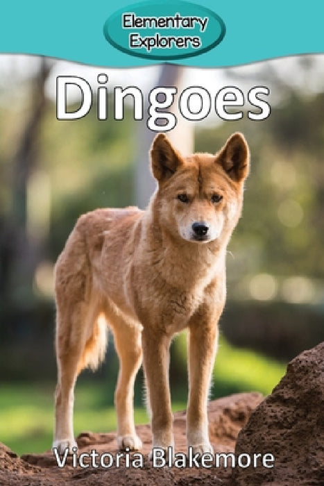 Dingoes by Victoria Blakemore