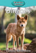 Dingoes by Victoria Blakemore