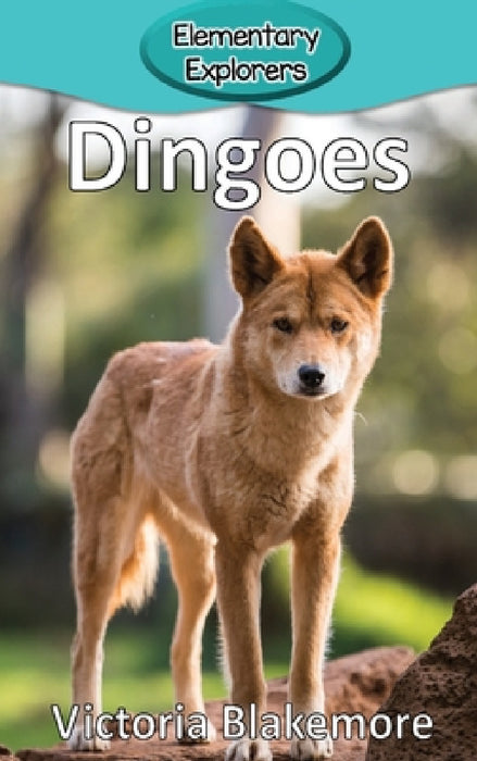 Dingoes by Victoria Blakemore
