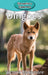 Dingoes by Victoria Blakemore