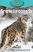 Snow Leopards by Victoria Blakemore