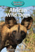 African Wild Dogs by Victoria Blakemore