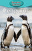 Penguins by Victoria Blakemore