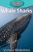 Whale Sharks by Victoria Blakemore