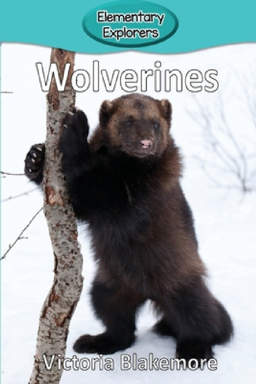 Wolverines by Victoria Blakemore