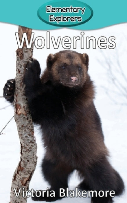 Wolverines by Victoria Blakemore
