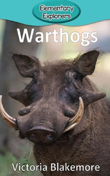 Warthogs by Victoria Blakemore