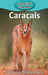 Caracals by Victoria Blakemore