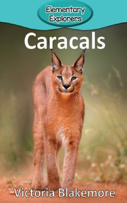 Caracals by Victoria Blakemore
