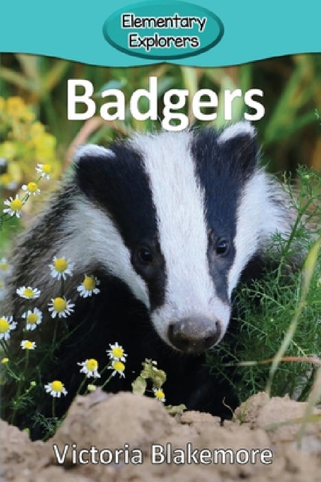 Badgers by Victoria Blakemore