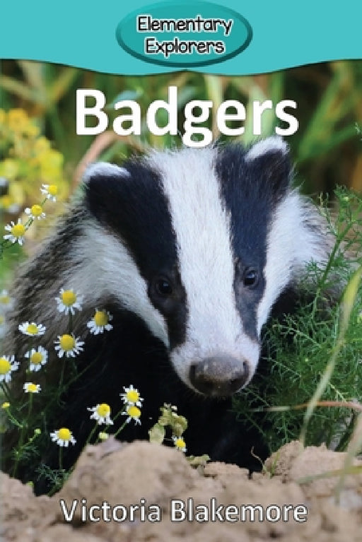Badgers by Victoria Blakemore