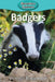 Badgers by Victoria Blakemore