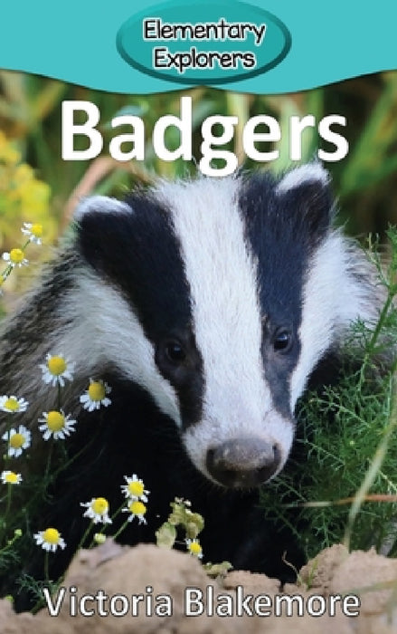 Badgers by Victoria Blakemore