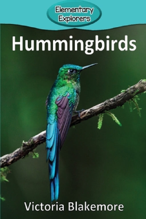 Hummingbirds by Victoria Blakemore