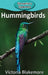 Hummingbirds by Victoria Blakemore