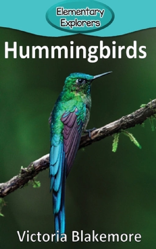Hummingbirds by Victoria Blakemore