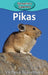 Pikas by Victoria Blakemore