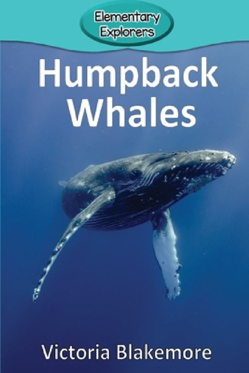 Humpback Whales by Victoria Blakemore