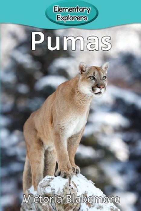 Pumas by Victoria Blakemore