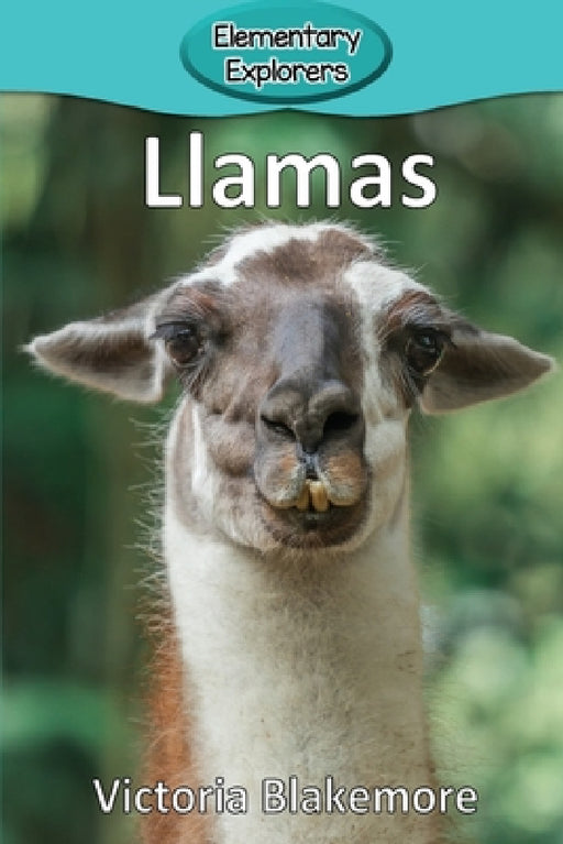 Llamas by Victoria Blakemore