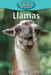 Llamas by Victoria Blakemore