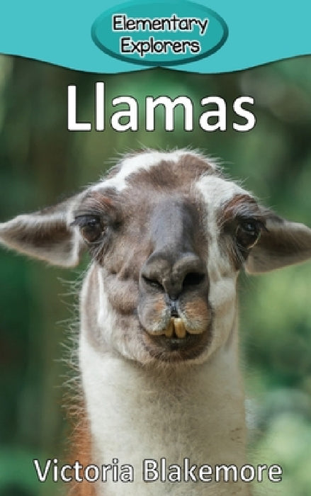Llamas by Victoria Blakemore