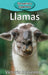 Llamas by Victoria Blakemore