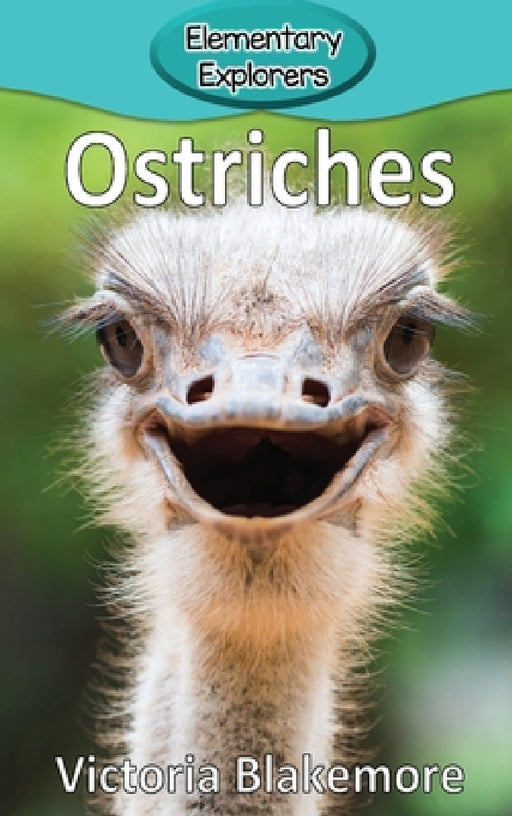 Ostriches by Victoria Blakemore
