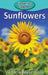 Sunflowers by Victoria Blakemore