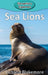 Sea Lions by Victoria Blakemore