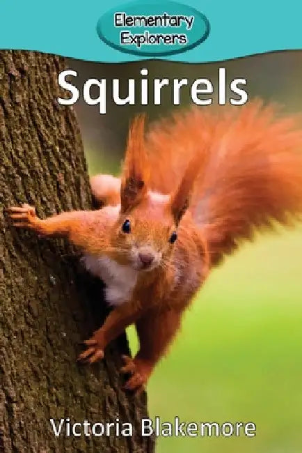 Squirrels by Victoria Blakemore