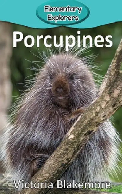 Porcupines by Victoria Blakemore