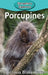 Porcupines by Victoria Blakemore