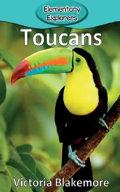 Toucans by Victoria Blakemore