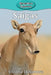 Saigas by Victoria Blakemore