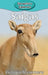 Saigas by Victoria Blakemore