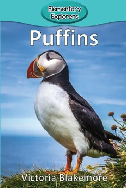 Puffins by Victoria Blakemore
