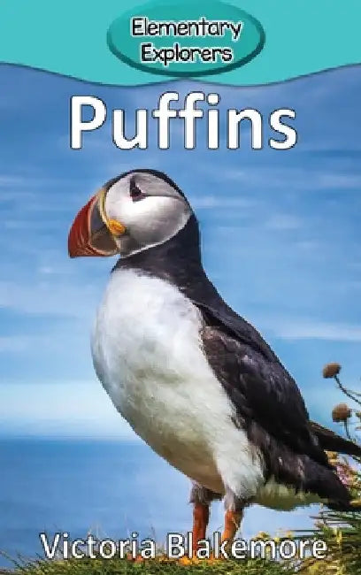 Puffins by Victoria Blakemore