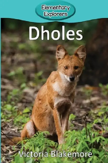 Dholes by Victoria Blakemore