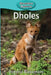 Dholes by Victoria Blakemore