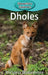 Dholes by Victoria Blakemore
