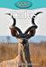 Kudus by Victoria Blakemore
