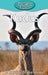 Kudus by Victoria Blakemore