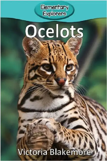 Ocelots by Blakemore, Victoria